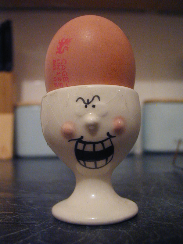 egg head