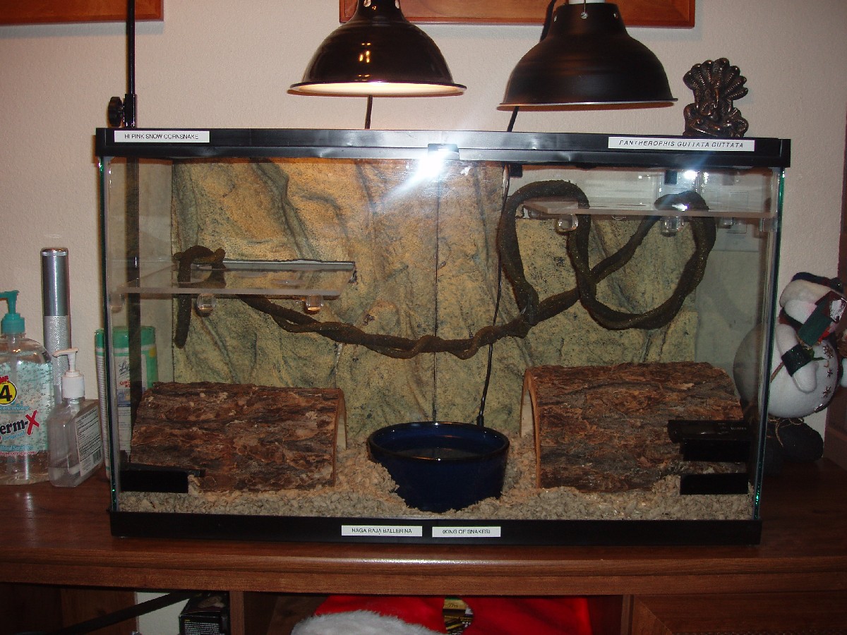 Tank 1