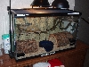 tank 2