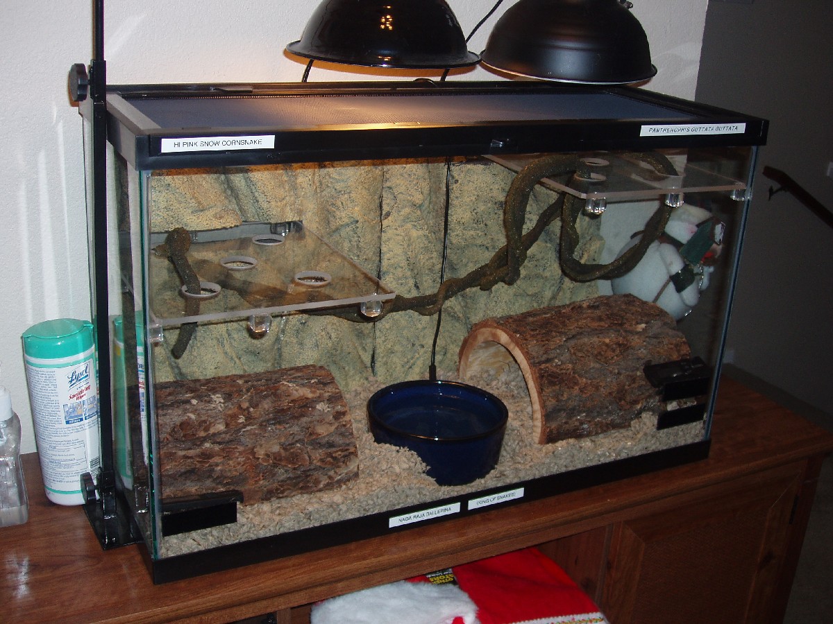 tank 2
