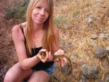 lacerta lepida caught near Alora, Spain