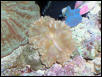 Saltwater Photos
