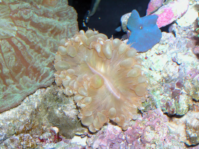 Saltwater Photos