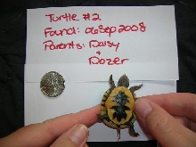Hatchling # 2 Plastron