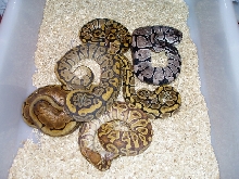 Group photo