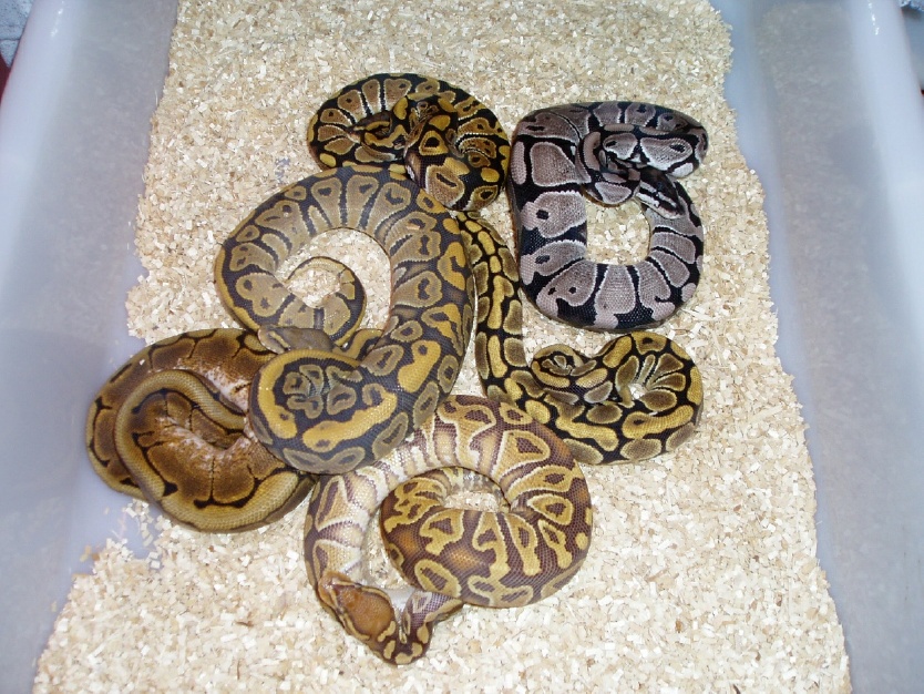 Group photo