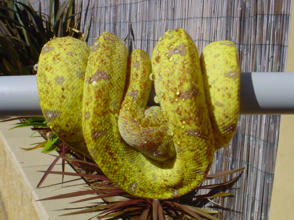 GTP baby 10 months old