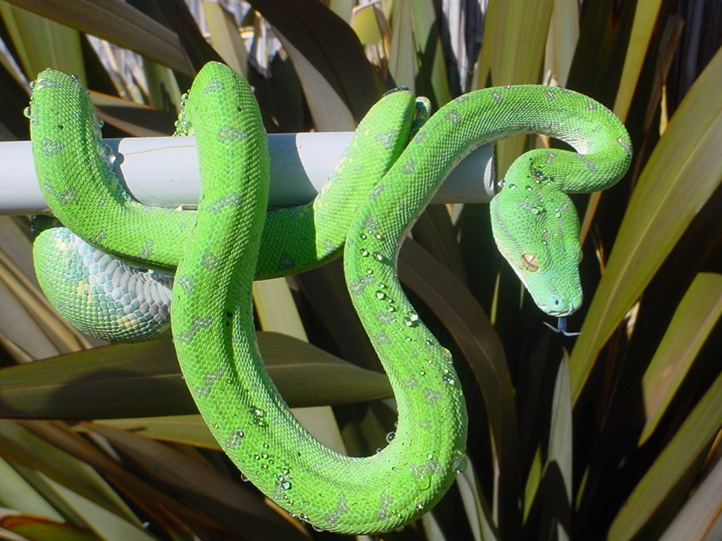GTP 10 month old