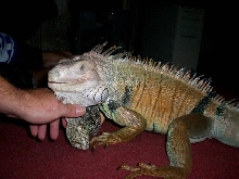 my big baby