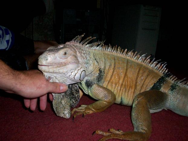 my big baby