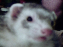 George