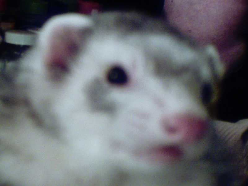George