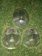 glass turtle shells?