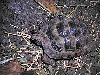 unknown_2