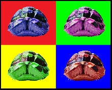 warhol-Tut