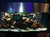 tank