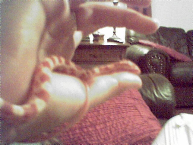 Albino Corn Snake