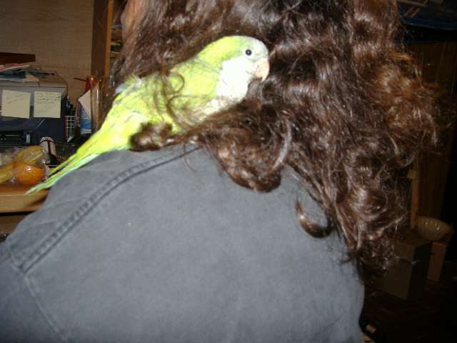sully and mama