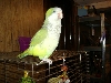 Sully showin off some more