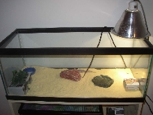 my tank...any suggustions?