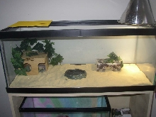 my new set up