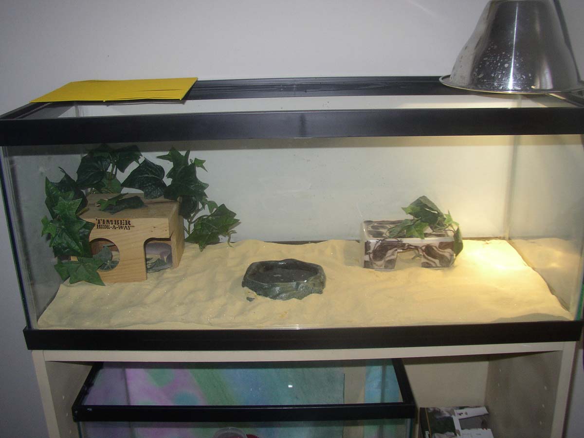 my new set up