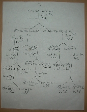 pedigree