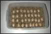 non viable green tree python eggs