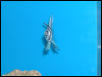Saltwater - Austin Aquariums