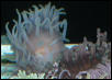 Saltwater Photos