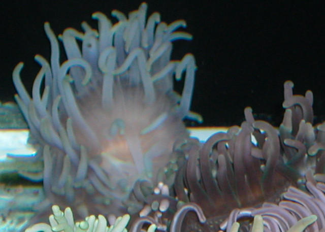 Saltwater Photos