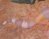kiki or soleil, April 2007