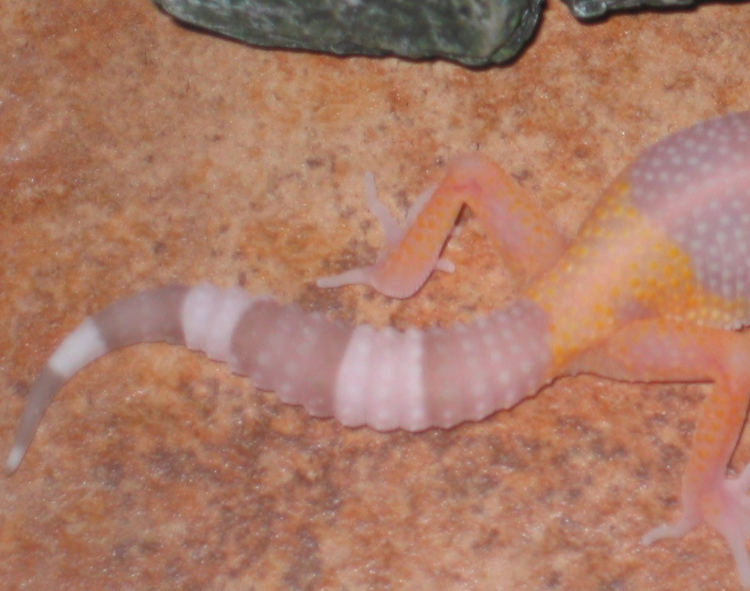 kiki or soleil, April 2007