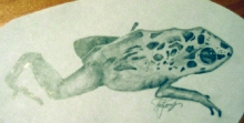 pencil drawing