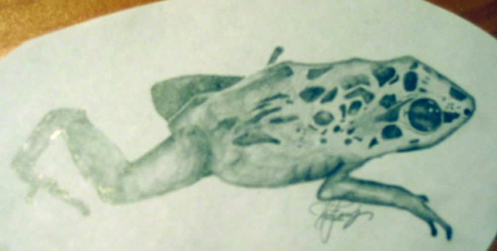 pencil drawing
