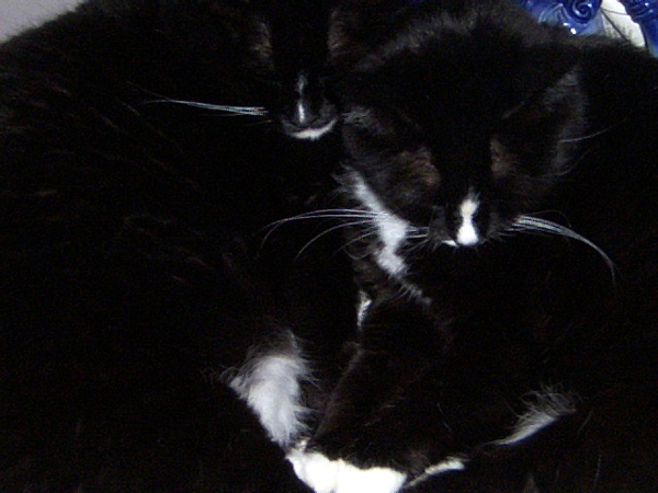 Oogie and Fleury- like mother , like daughter!