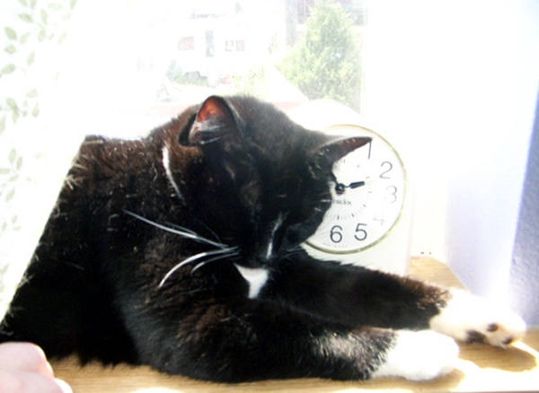 Fleury Sleeping