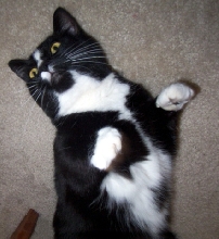 Oogie's Close-Up