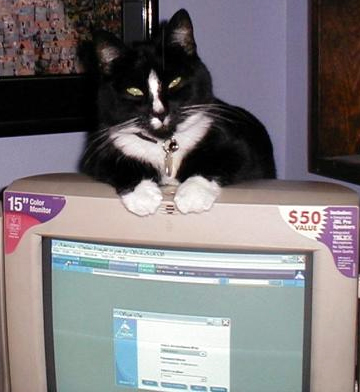 Oogie on top of the monitor