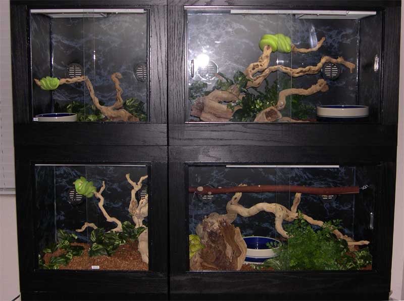 4 cages