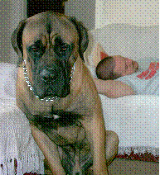 Hannibal with daddy