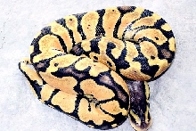 my best female so far this year.