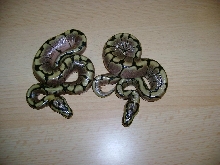 pic3
