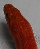 c2