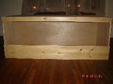 beginning of tegu enclosure