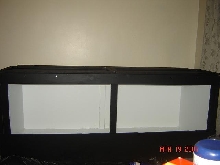 tegu enclosure