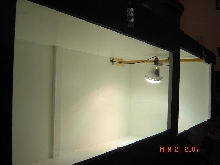 tegu enclosure