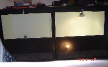 tegu enclosure