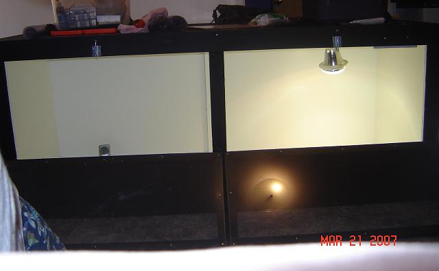 tegu enclosure