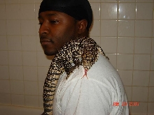 arg b&w tegu